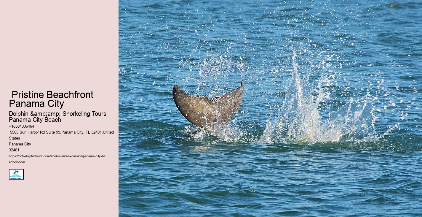  Panama City Pristine Shores Excursions