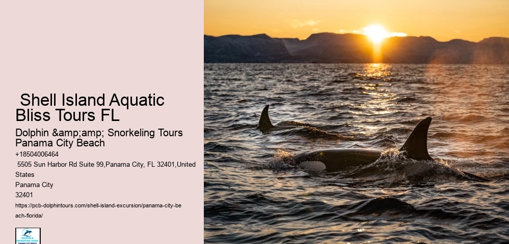  Shell Island Aquatic Bliss Tours FL