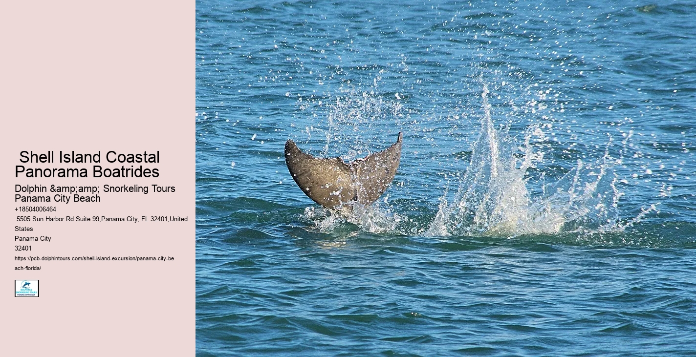  Panama City Unspoiled Wetlands Tours
