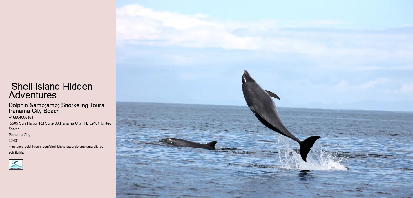  Panama City Coastal Oasis Adventures