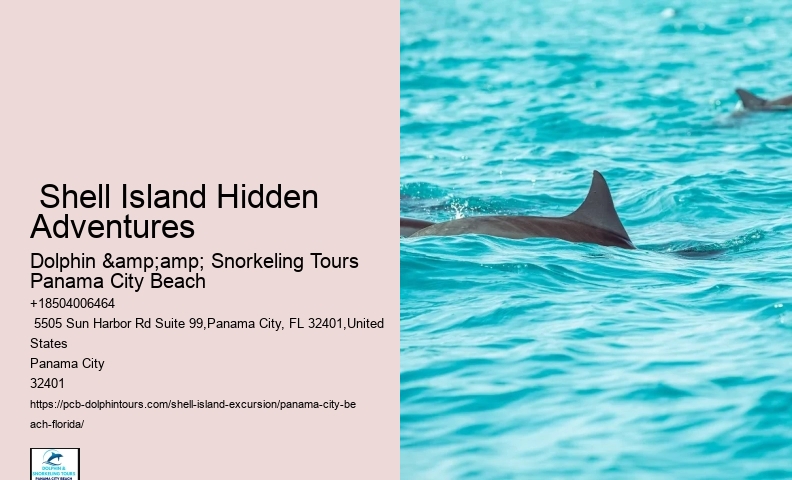  Shell Island Dolphin Tours Panama City Beach Fl