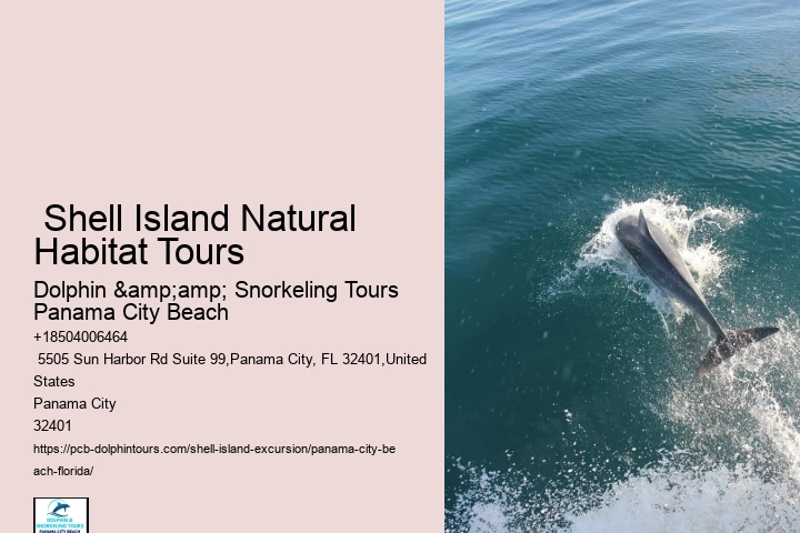  Aquatic Paradise Panama City Water Tours