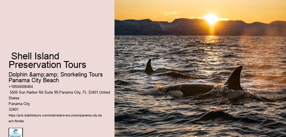  Shell Island Preservation Tours