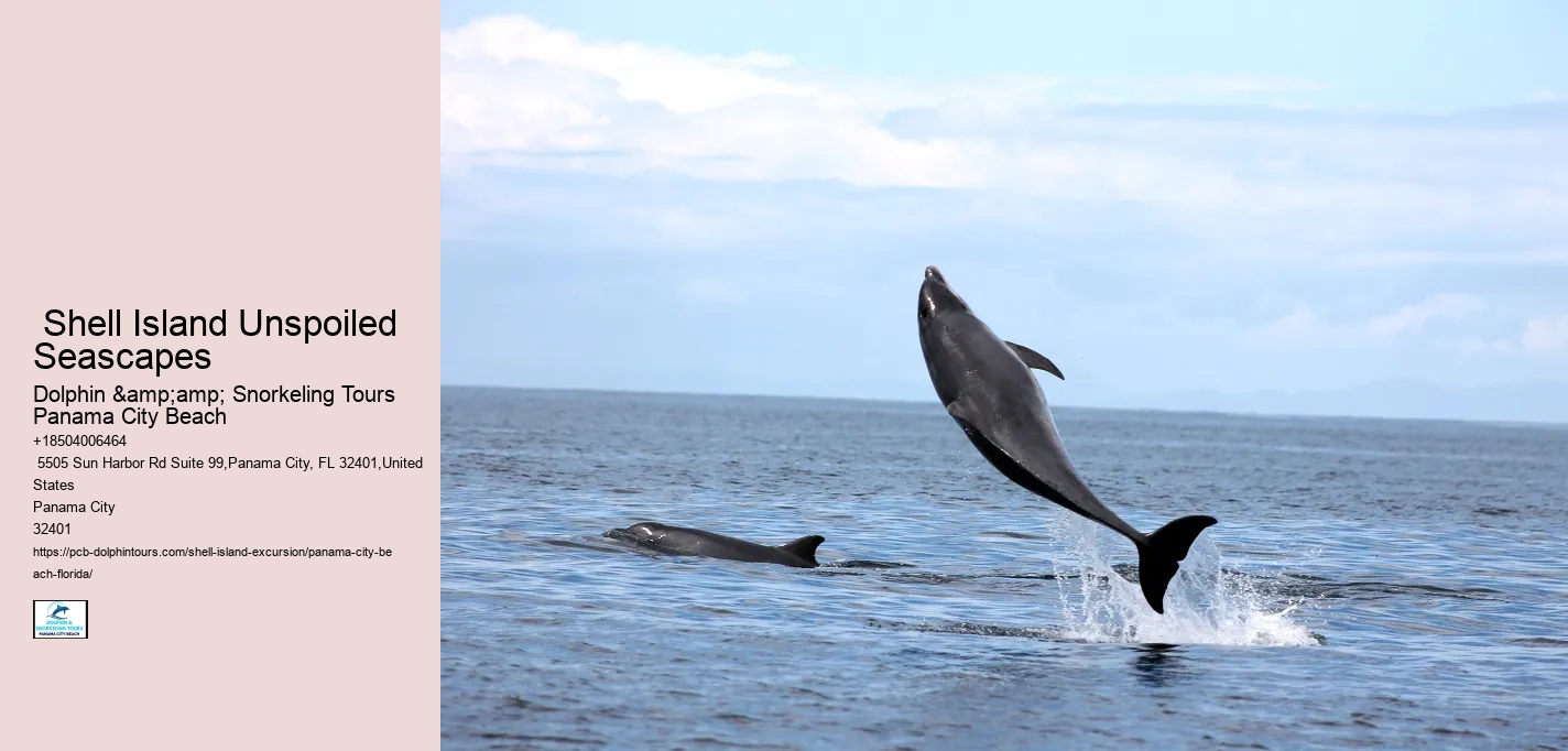  Panama City Marine Life Excursions