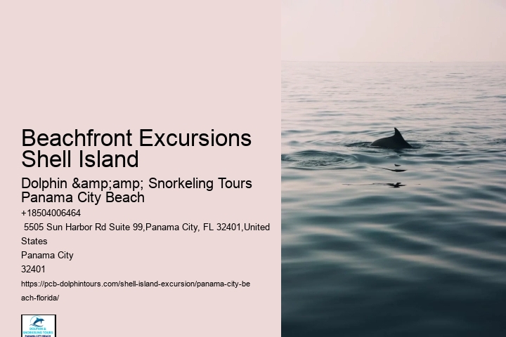  How Long Is Shell Island Tour