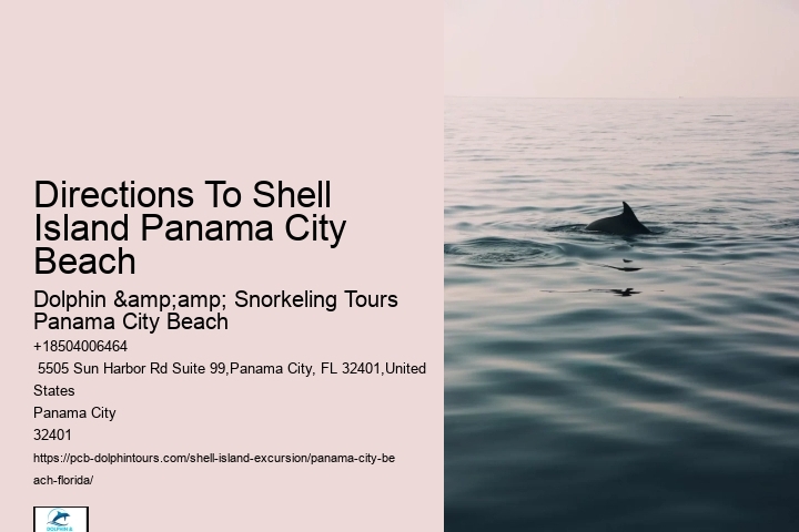  What's A Queen Conch? Why Can You Go To Jail In Florida For Taking One