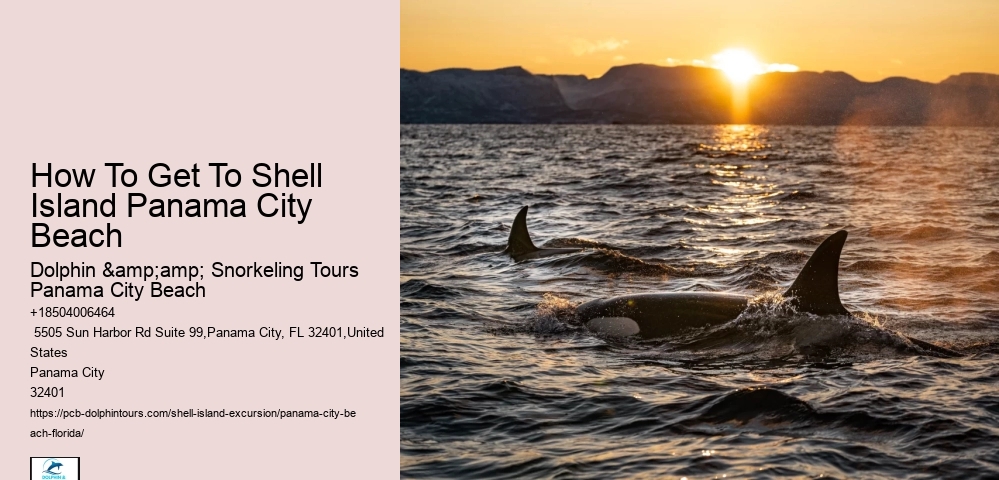  Panama City Marine Life Excursions