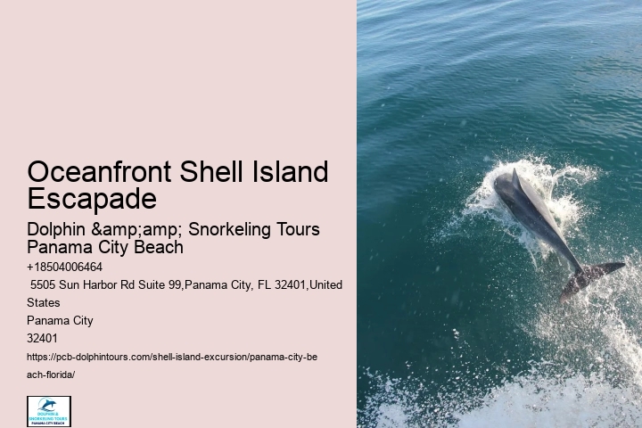  Shell Island Eco Tours Florida