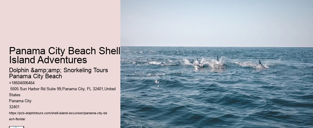  Shell Island Unspoiled Seascapes