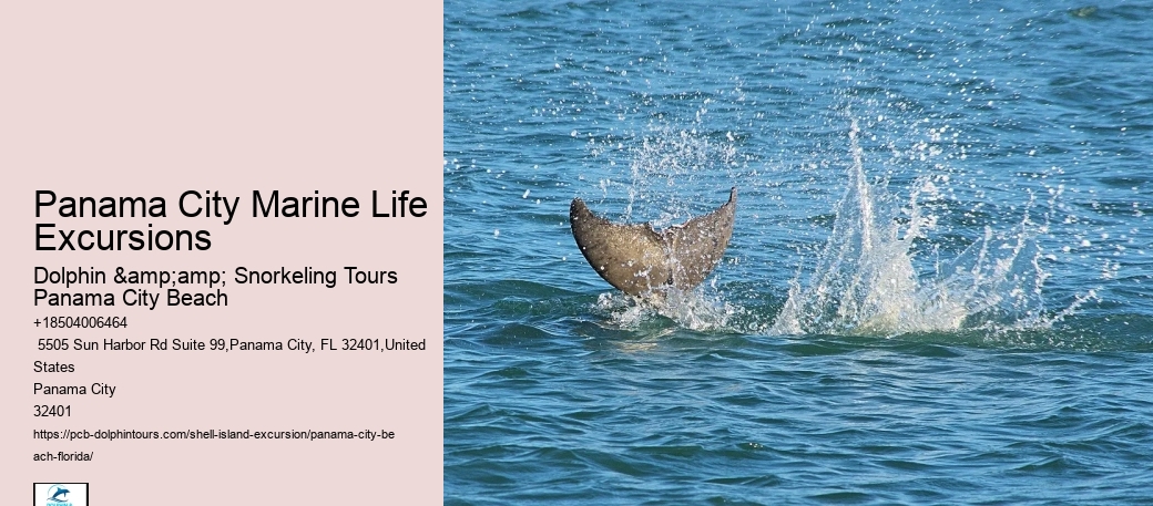  Island Excursions
