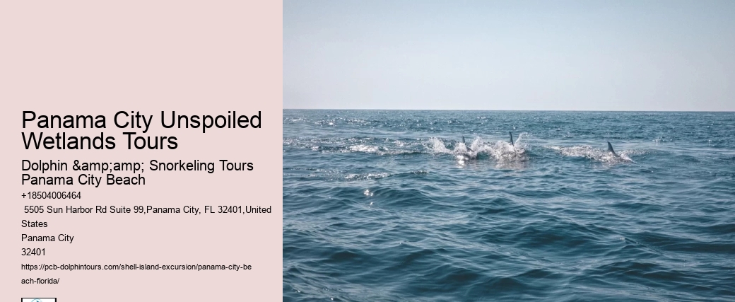  Shell Island Florida- Complete Visitor's Guide