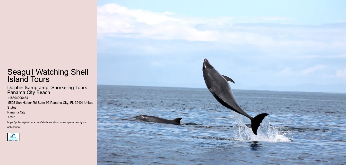 Shell Island Excursions Panama City Beach Florida