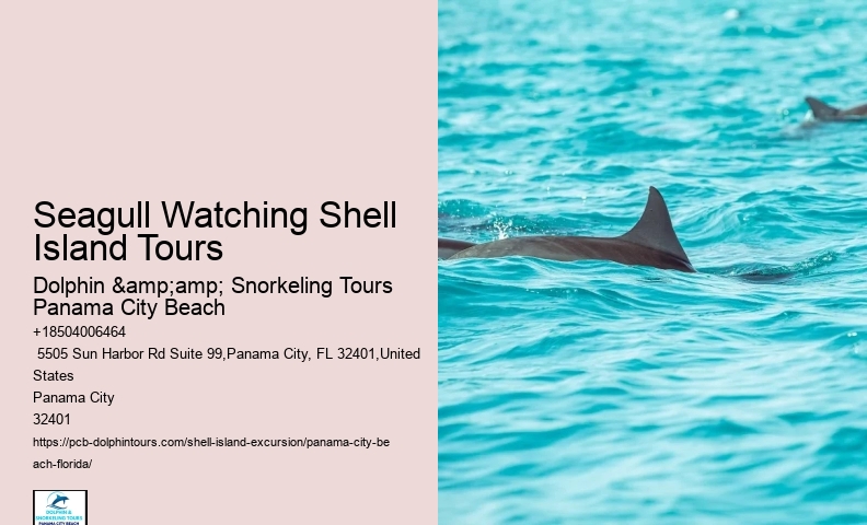  Do You Have To Book Shell Island
