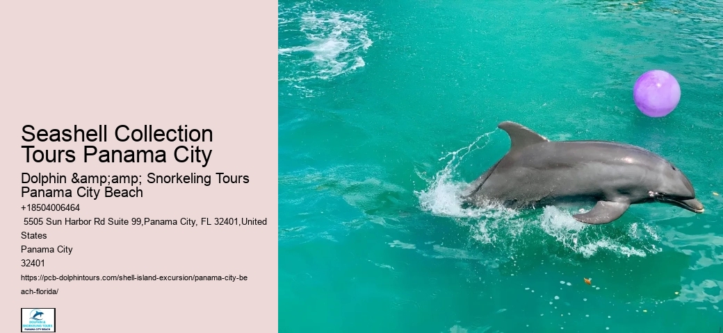  Shell Island Tours In Panama City Beach - Adventures At Sea