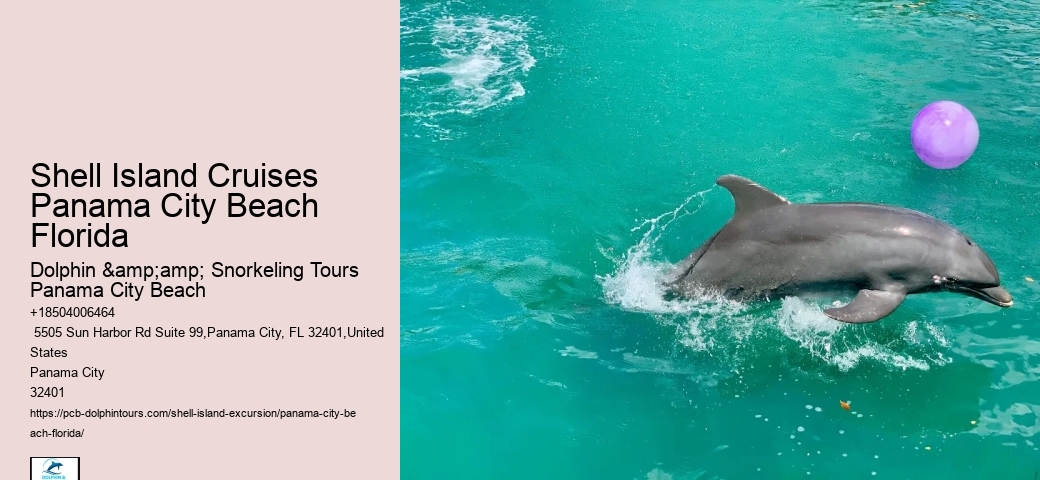  Shell Island Trips & Dolphin Tours