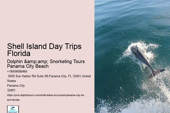 Coastal Marvel Panama City Exploration
