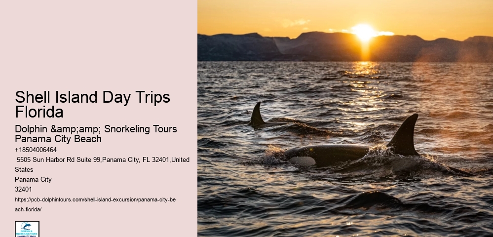  Shell Island Coastal Panorama Boatrides