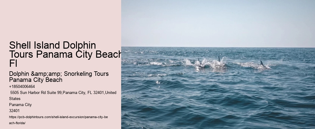  Shell Island Aquatic Paradise Tours