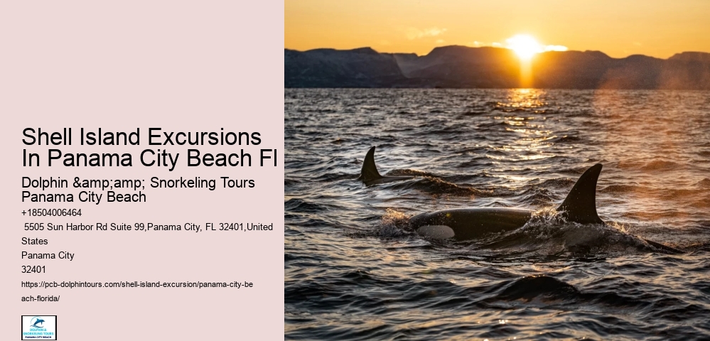 Shell Island Excursions In Panama City Beach Fl
