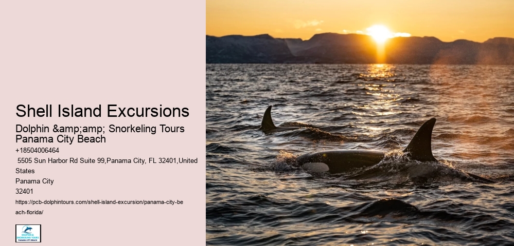 Shell Island Excursions