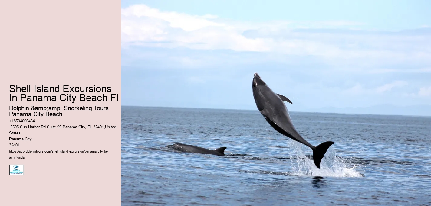  Panama City Unspoiled Wetlands Tours
