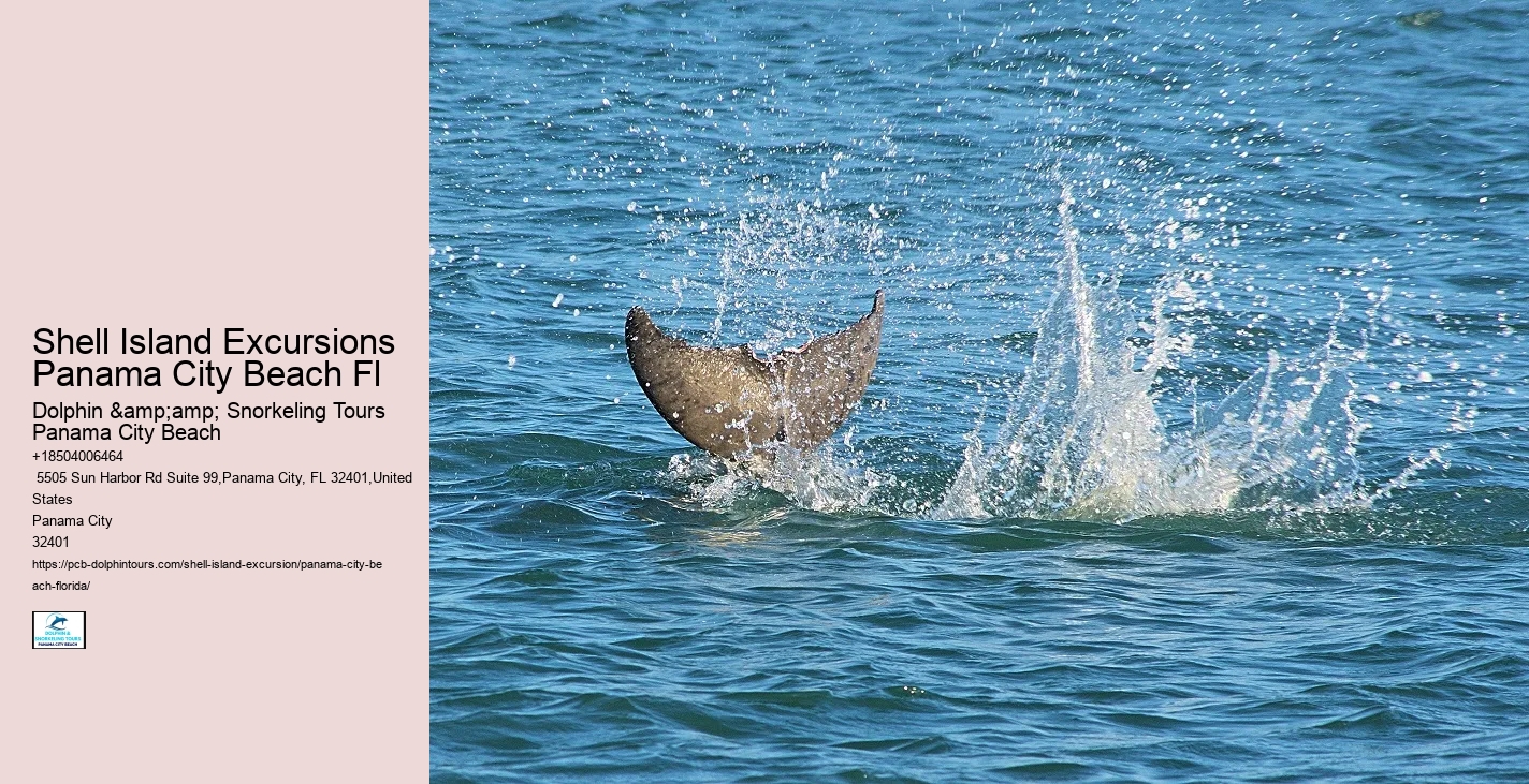  What Is Special About Shell Island