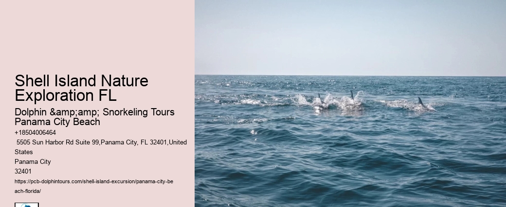  What Time Is The First Shuttle To Shell Island