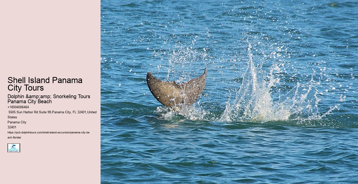  Shell Island Seafarer's Retreat Tours