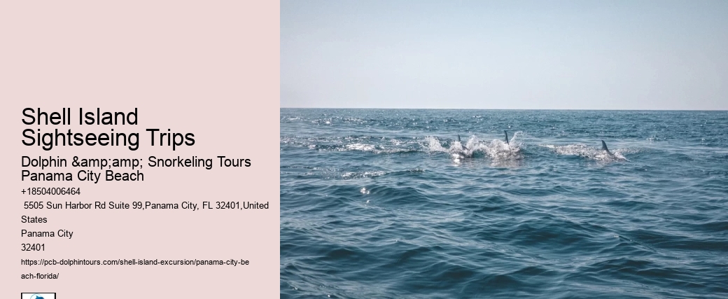  Shell Island Seashore Serenity Tours