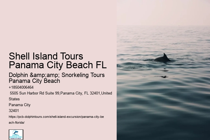 Dolphin Swim
