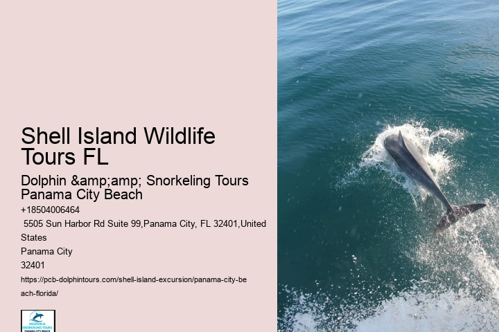  Shell Island Paddleboarding FL