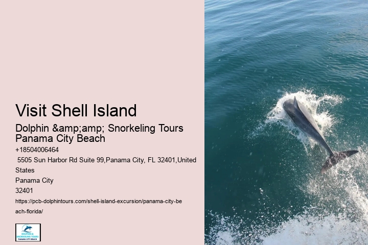  Panama City Seashore Serenity Tours