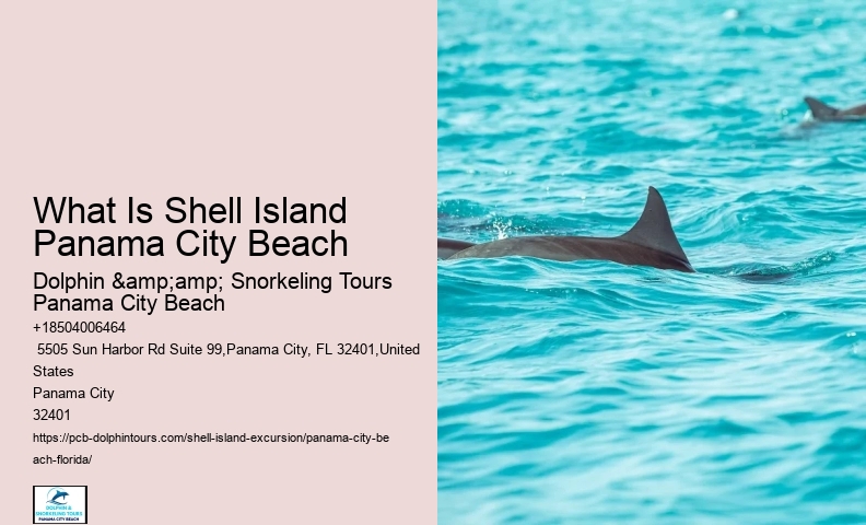  Shell Island Excursions In Panama City Beach Fl