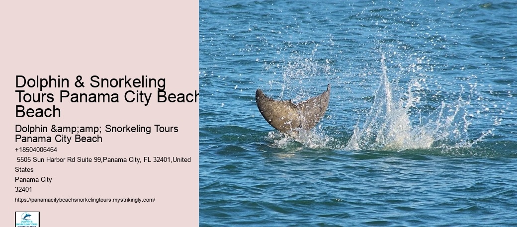 Snorkeling Trips At Panama City Beach