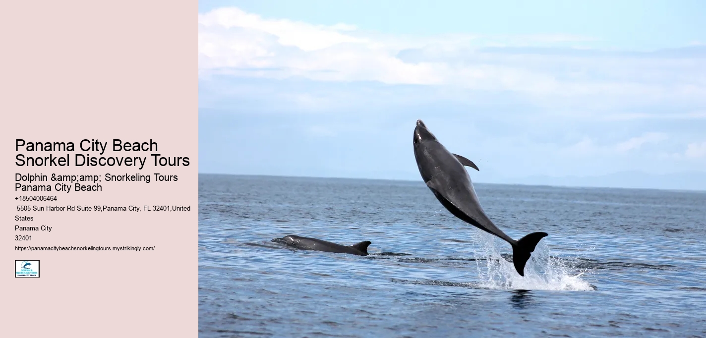 Panama City Beach Snorkel Discovery Tours