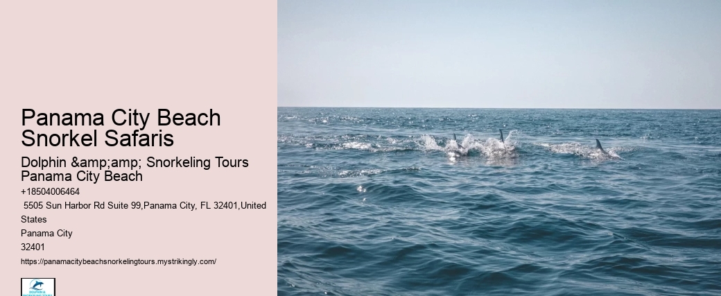 Panama City Beach Snorkel Safaris