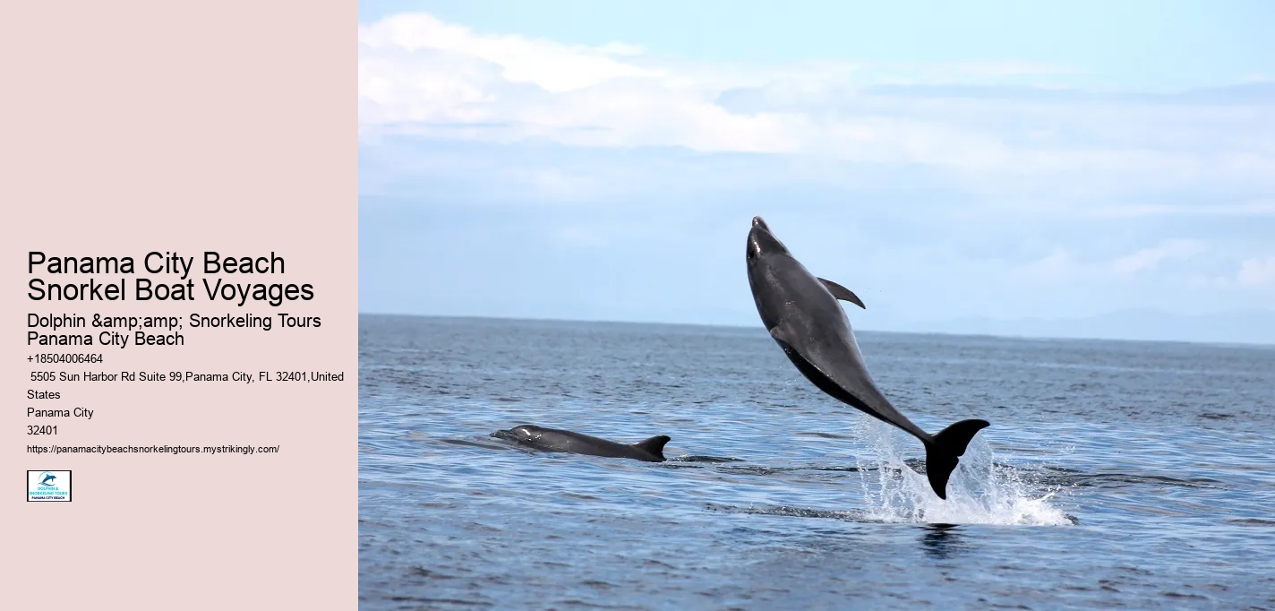 Panama City Beach Snorkel Boat Voyages