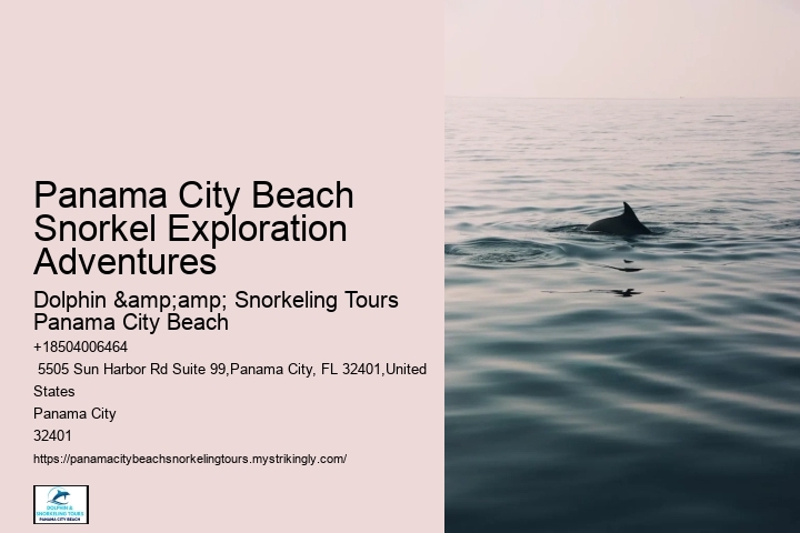 Panama City Beach Snorkel Exploration Adventures