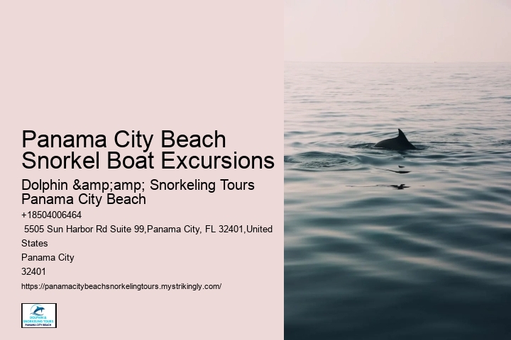 Snorkeling Escapades Departing From Panama City Beach