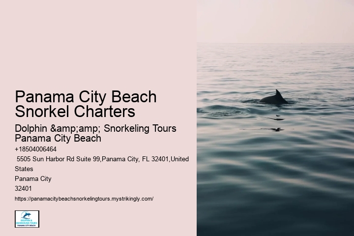 Pcb Snorkel Discovery Excursions