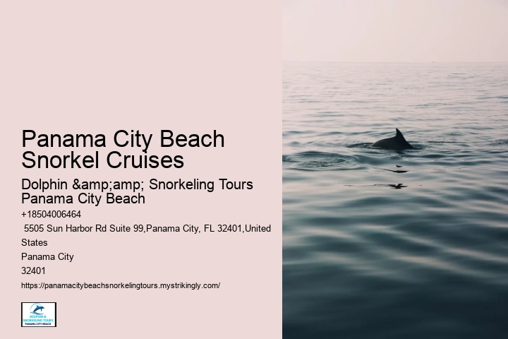 Snorkeling Adventures At Panama City Beach