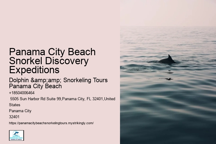 Snorkeling Experiences Departing From Panama City Beach