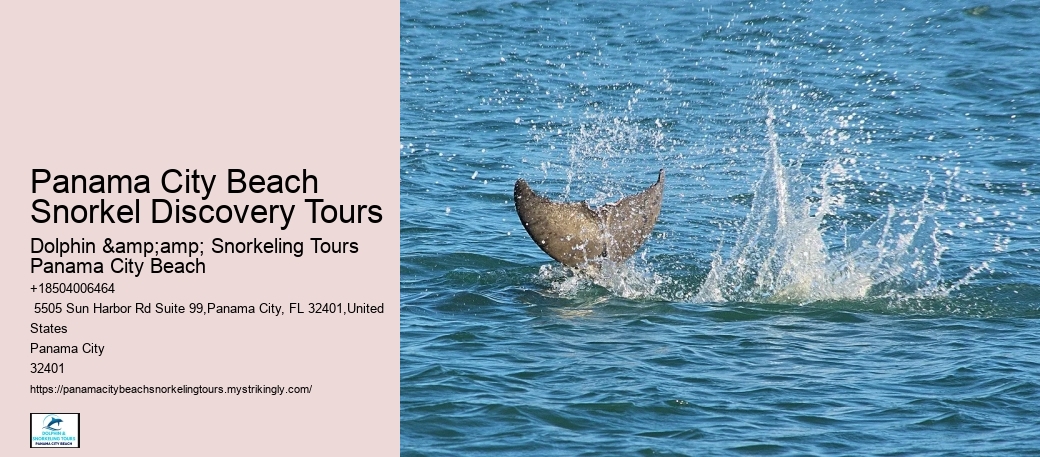 Panama City Beach Snorkeling Tours Trips