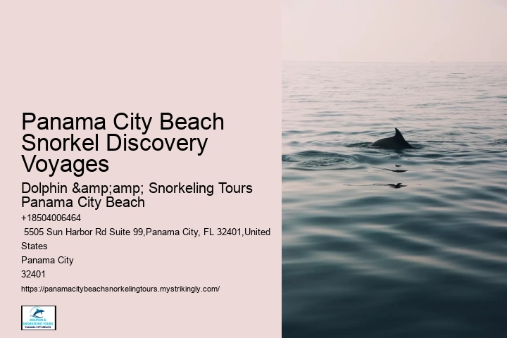 Panama City Beach Snorkeling Tours Pensacola Fl