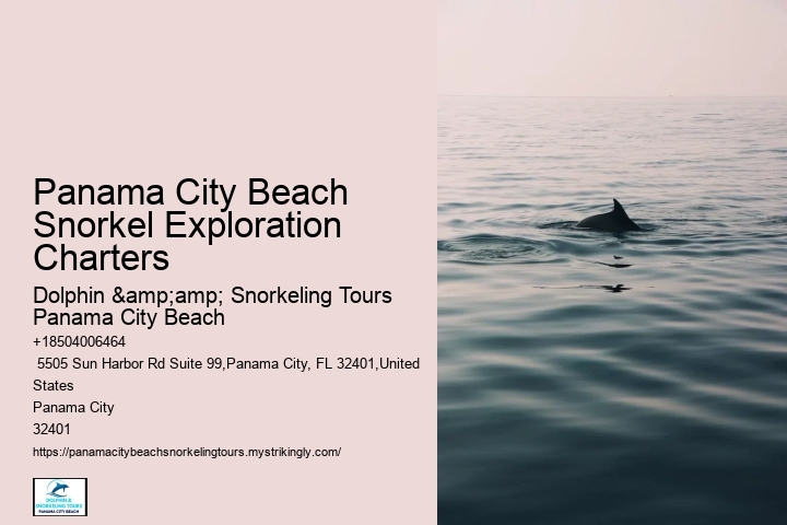 Snorkeling Trips Departing From Panama City Beach