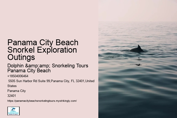 Panama City Beach Snorkeling Tours La Jolla