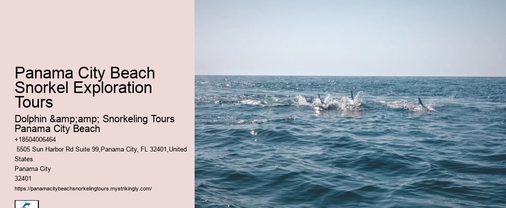 Is Transportation Provided To And From The Snorkeling Sites