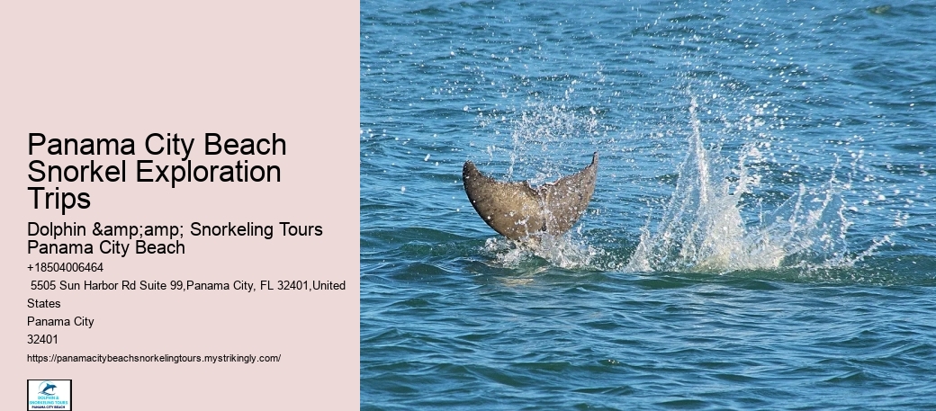 Snorkeling Escapades Departing From Panama City Beach