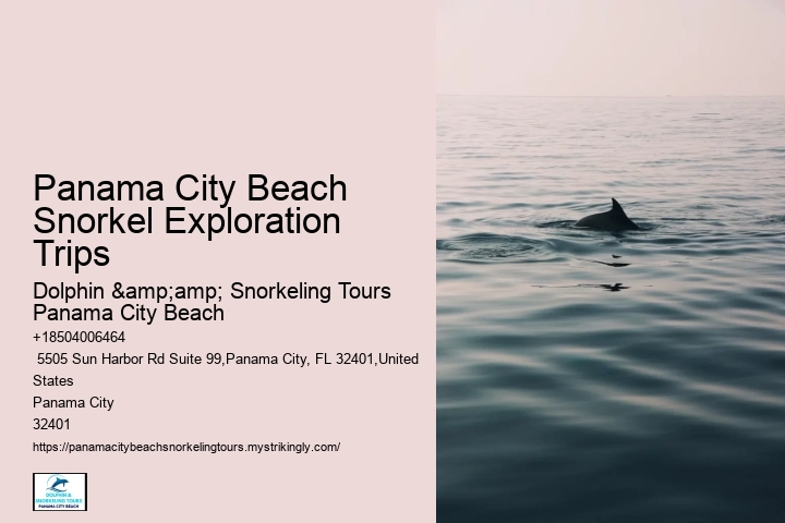 Panama City Beach Snorkeling Tours Ta