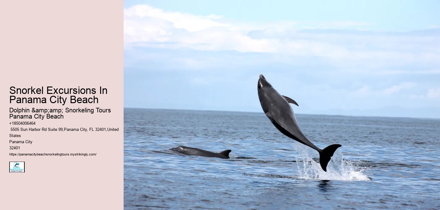 Snorkel Excursions In Panama City Beach